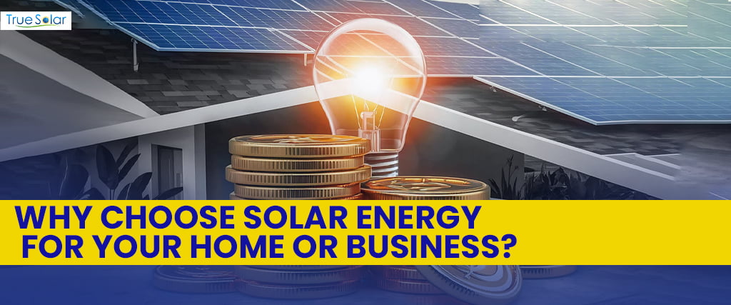 Why Choose Solar Energy for Your Home or Business?